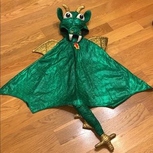 🔥 Halloween costume dragon cape with tail 🔥